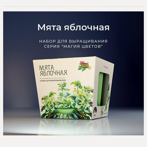 Изображение товара Магия Цветов Набор для выращивания растений Мята яблочнаясемена и инструкция