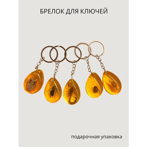 фото Брелок, глянцевая фактура, оранжевый miascarpa