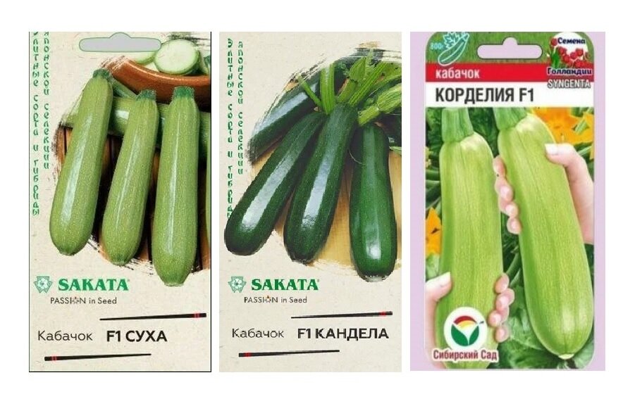 Набор семян кабачков Овощное рагу (Кабачки Корделия, Кандела, Суха)