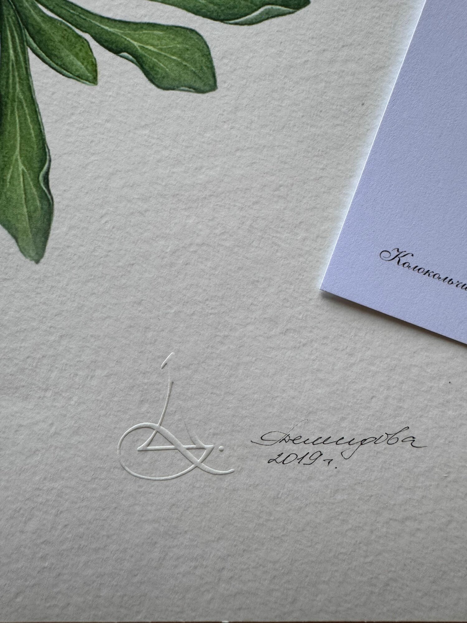 Принт акварельной работы Колокольчик Биберштейна — фото 1