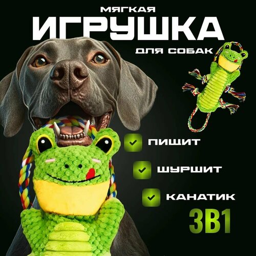 Игрушка для собак Big Tiny «Лягушка» — 3 в 1: игры, обнимашки, здоровые зубы!