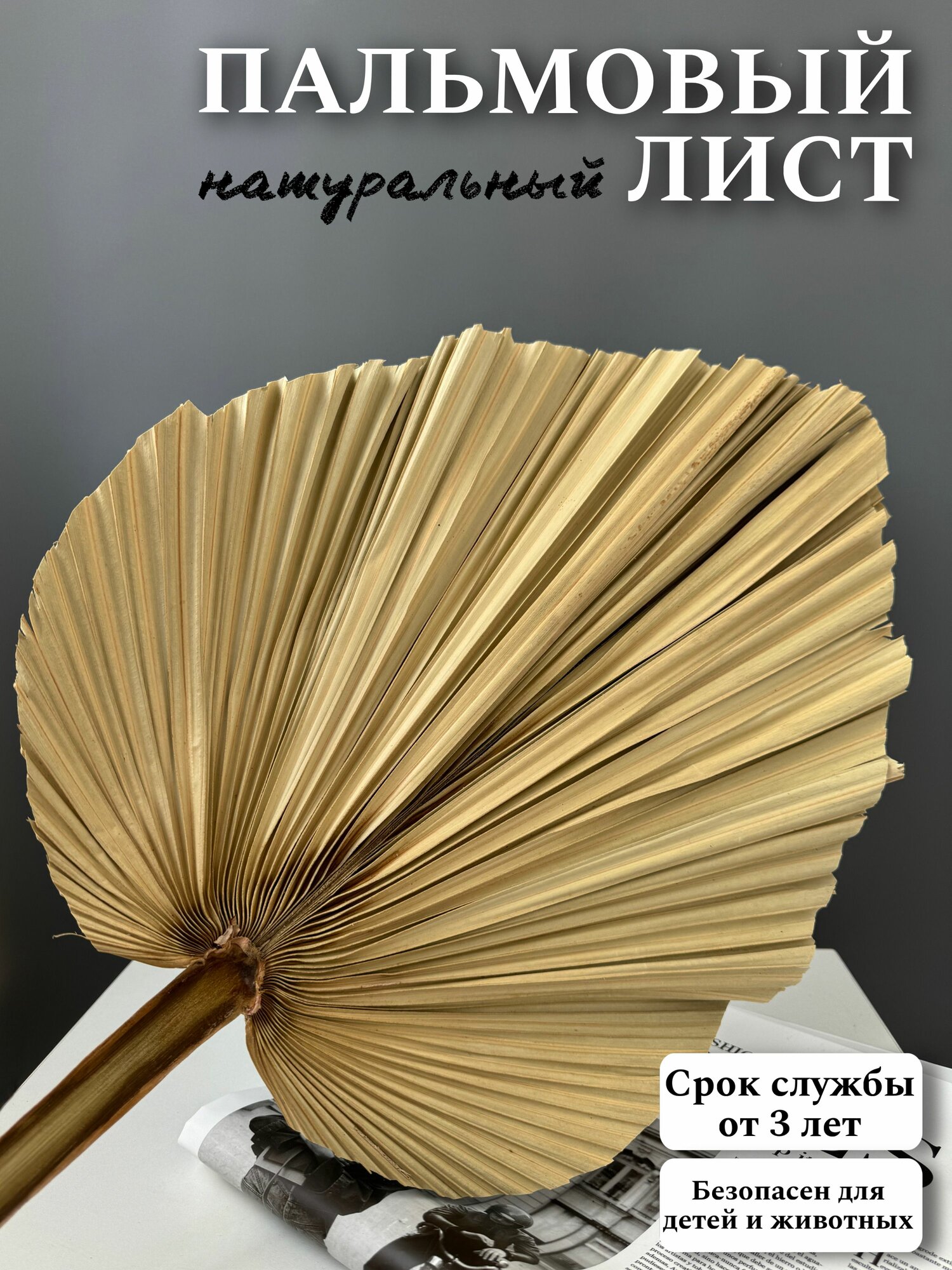 Лист пальмы сухоцветы для декора и интерьера 1 шт