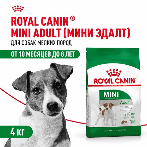 Royal Canin Mini Adult для взрослых собак мелких пород Курица, 4 кг.