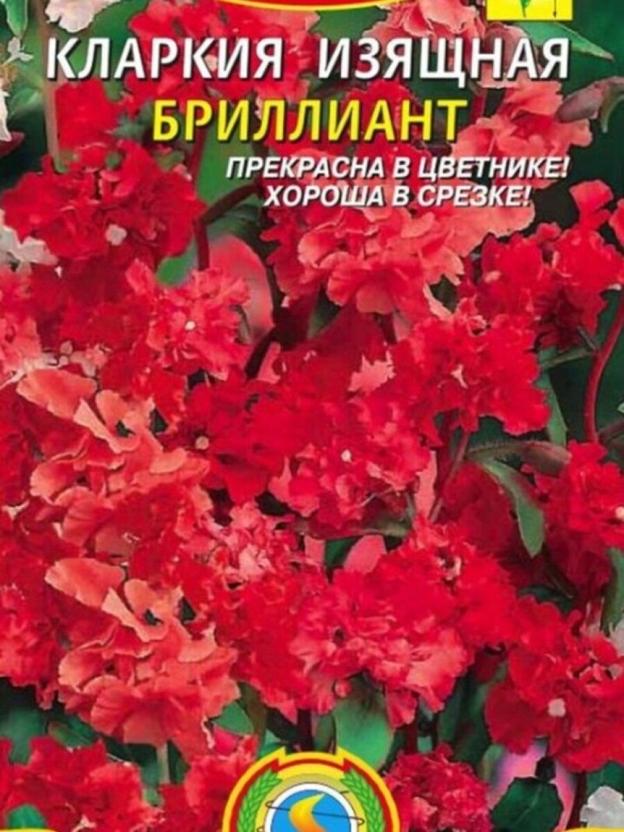 Семена Кларкия изящная Бриллиант 01 гр Плазменные семена