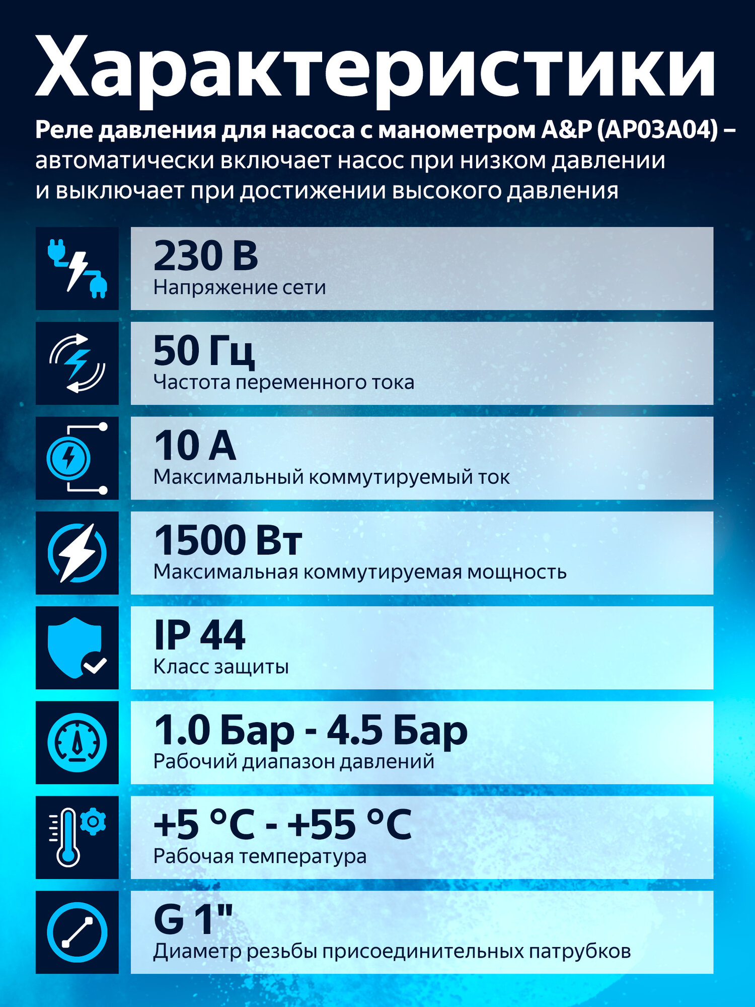 Реле давления для насоса A&P AP03A04, с манометром, диаметр резьбы 1", черный — фото 1