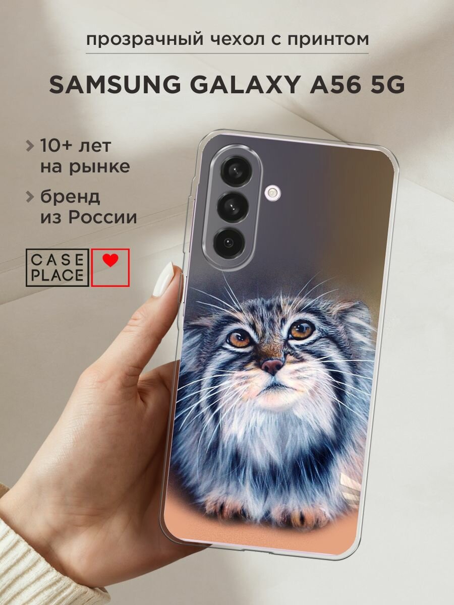 Чехол на Samsung Galaxy A56 5G / Самсунг Галакси А56 5G с принтом "Кот манул 2"
