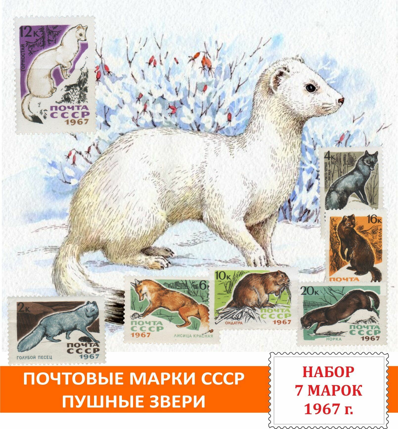 Почтовые марки СССР Фауна. Пушные звери. Набор 7 марок 1967 года выпуска.