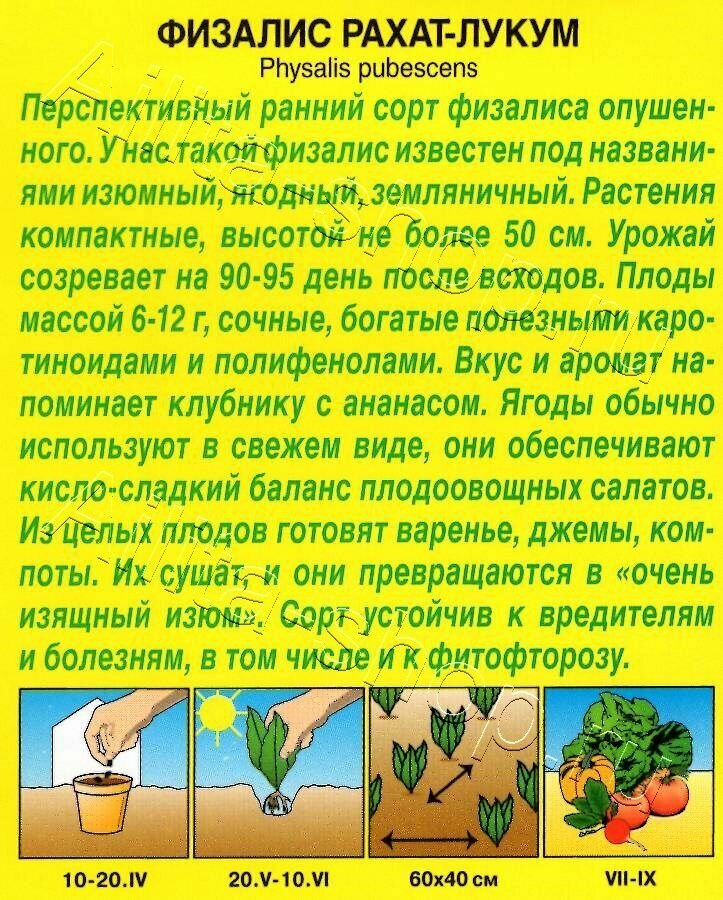 Семена овощей Аэлита физалис Рахат-лукум - фото №3