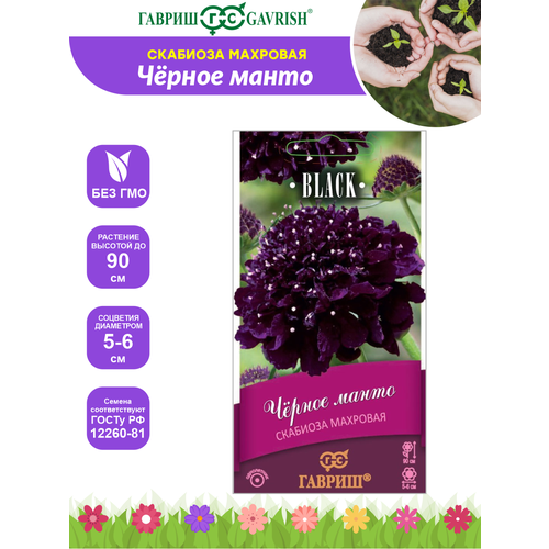 Семена Скабиоза пурпурная Чёрное манто махровая - серия Блэк 0,2 гр.