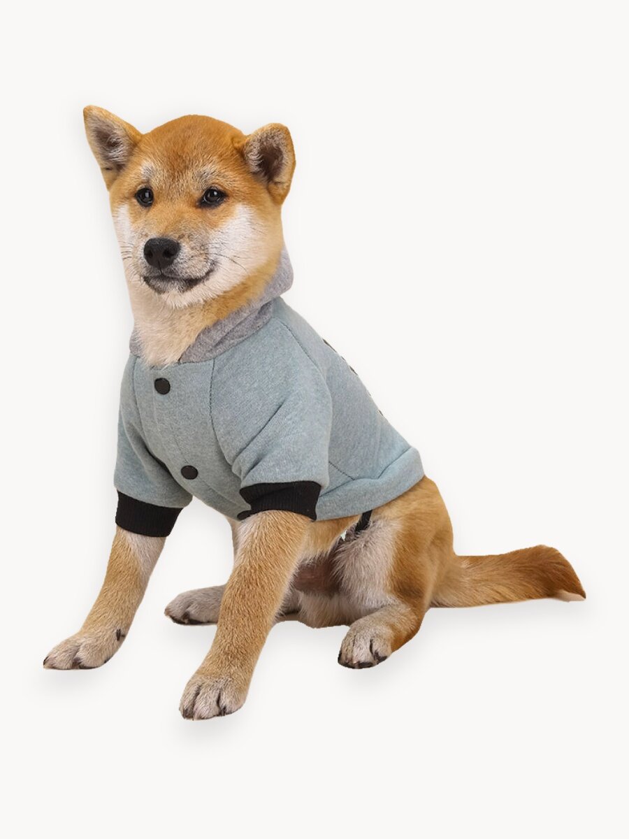 Толстовка для собак мелких, средних и крупных пород, кошек, котов. Худи для собак и кошек. Кофта. Одежда для животных. Светло-зеленый-Размер-S