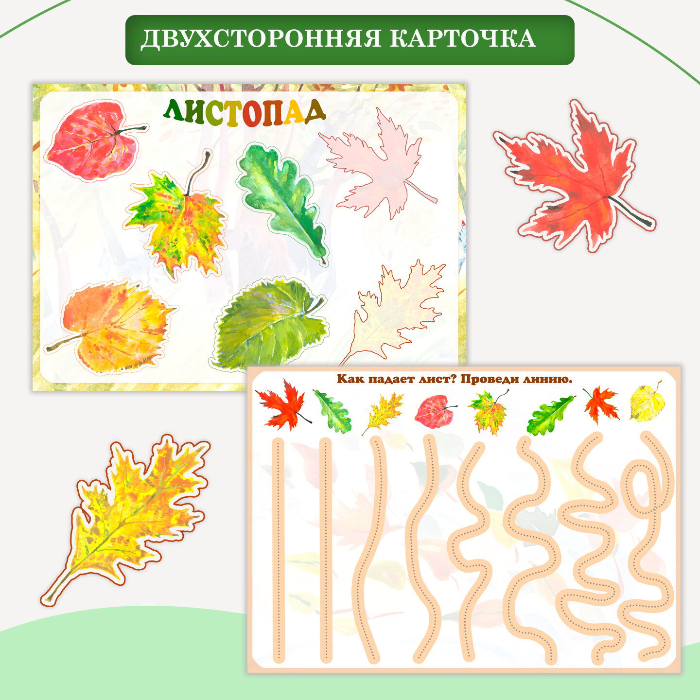 Дидактическая карточка "Листопад" двусторонняя на липучках ламинированная А4