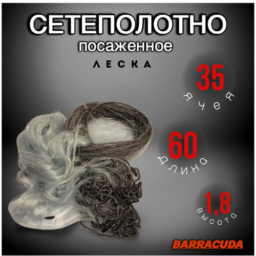 BARRACUDA 60метров