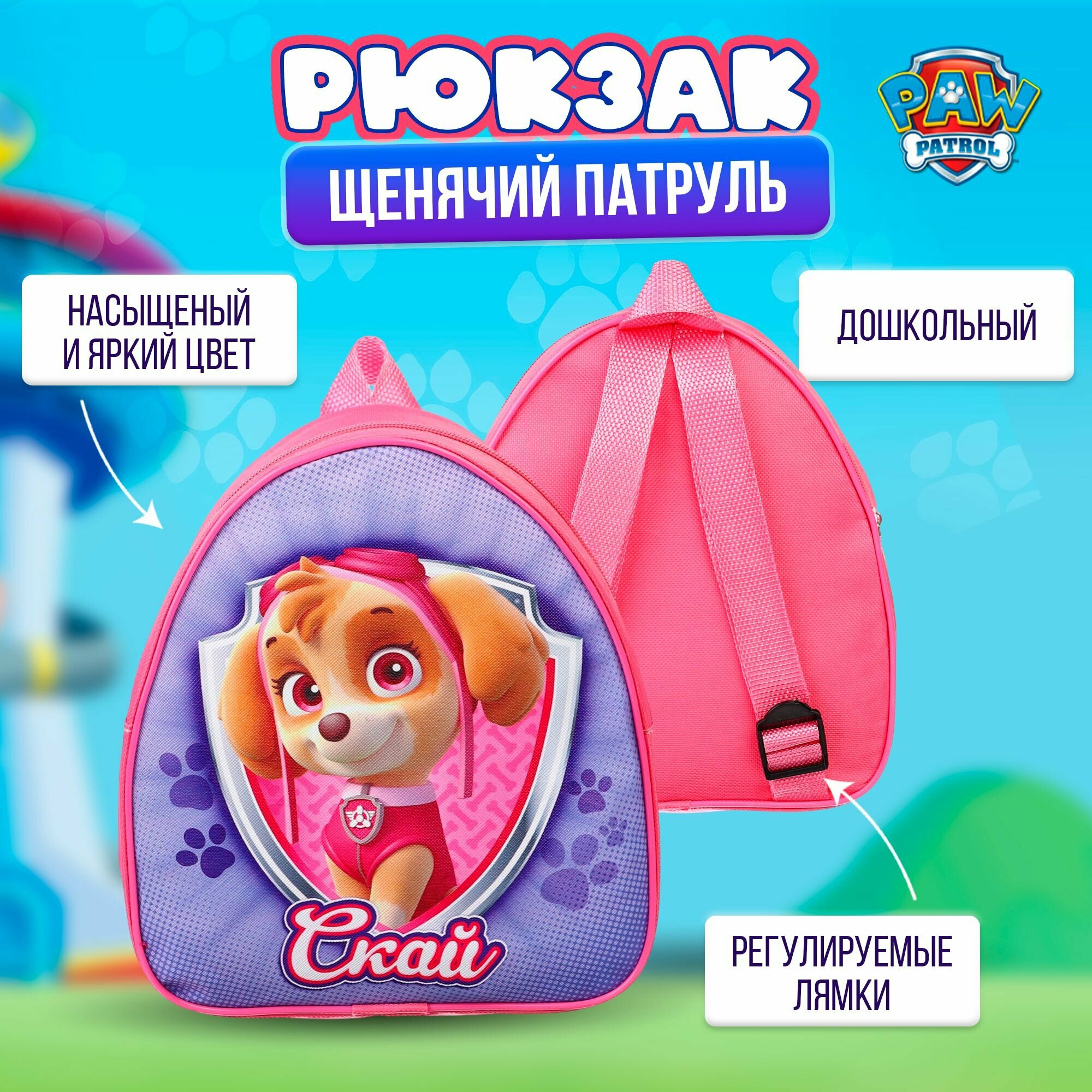 Рюкзак детский для девочек Щенячий патруль Скай, дошкольный, размер 23 х 21 х 10 см