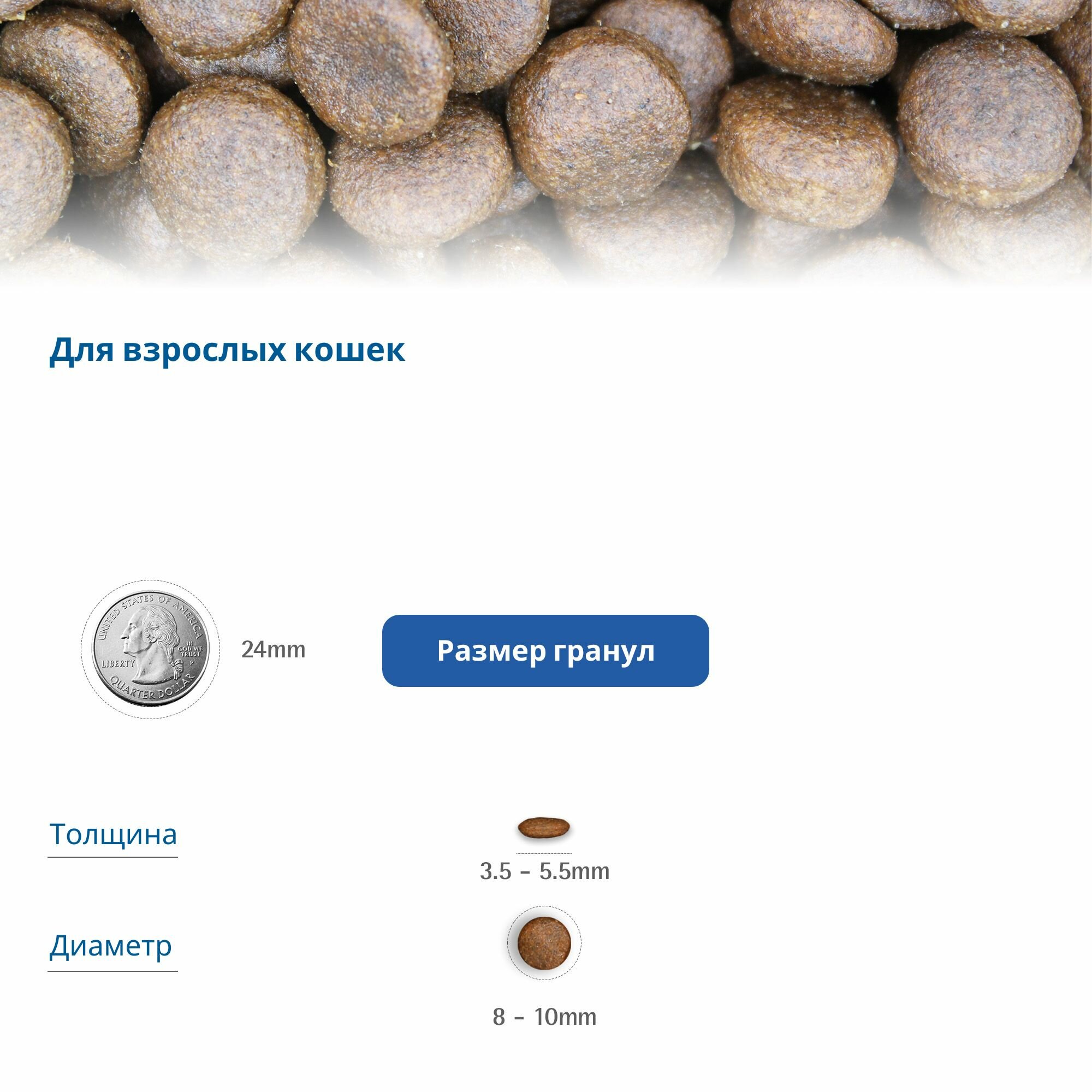 Картинки Сухой беззерновой корм для стерилизованных кошек Farmina N&D Pumpkin, ягненок, черника и тыква, 300 гр