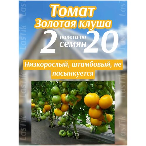 Томат Золотая клуша 2 пакета по 20шт семян семена томат золотая клуша 20шт