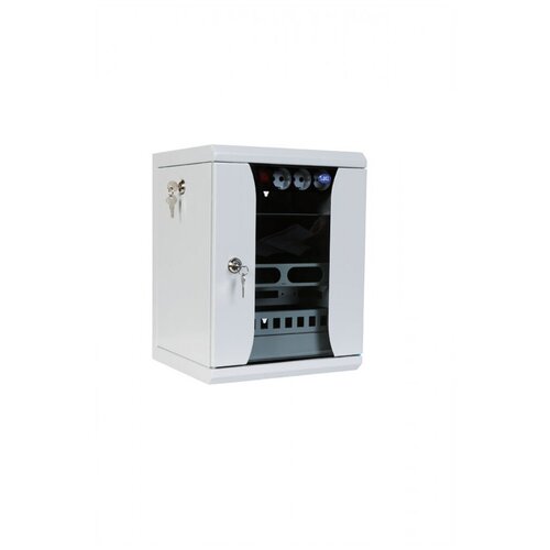 Серверный шкаф ЦМО ШРН-8.255-10 8U (350х255)