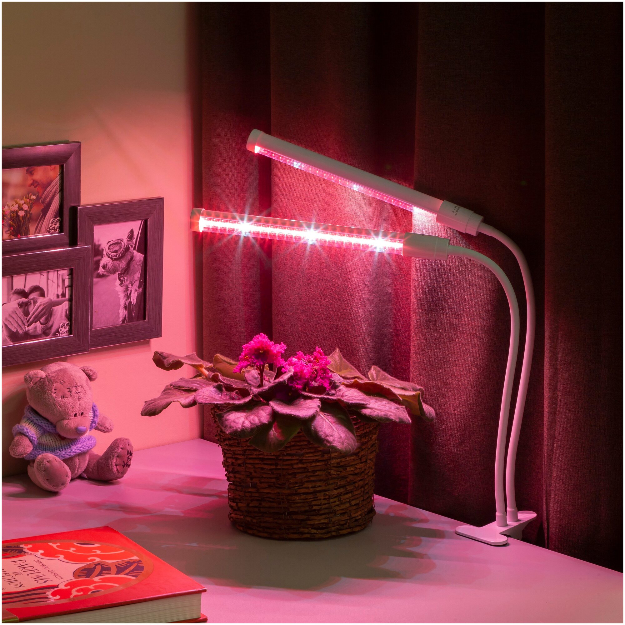 Светильник светодиодный для выращивания рассады Эра на прищепке, фиолетовый свет, 12 Вт - фотография № 8