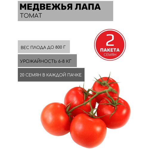 Томат Медвежья Лапа 2 пакета по 20шт семян томат южный загар 2 пакета по 20шт семян