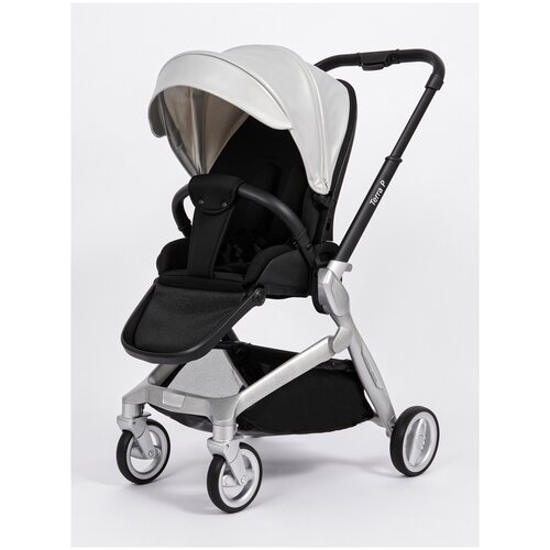 Прогулочная коляска Street Racer Terra P, 02 серебро