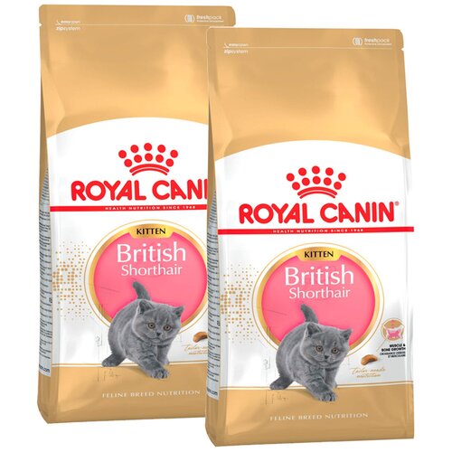 сухой корм royal canin british shorthair kitten 34 для британских короткошерстных котят 0 4 0 4 кг Сухой корм ROYAL CANIN BRITISH SHORTHAIR KITTEN 34 для британских короткошерстных котят (0,4 + 0,4 кг)