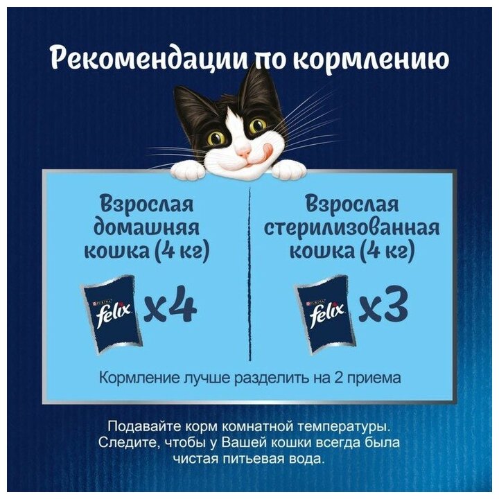 Влажный корм для взрослых кошек Felix Аппетитные кусочки. Двойная вкуснятина, с индейкой и печенью 85 г (кусочки в желе) - фотография № 15