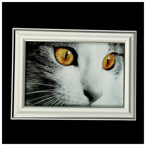 Фоторамка 10х15 281S белая с серебром (пластиковый экран) (1шт.)