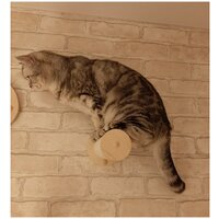 Ступенька круглая для кошек/ Натуральное дерево/ Хлопок