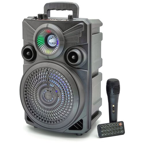 Блютуз колонка OT-SPF22 активная напольная с микрофоном 337300₽