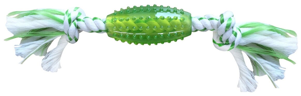 Canine Clean (Aromadog) игрушка для собак "Регби", с ароматом мяты, 25 см, зеленая