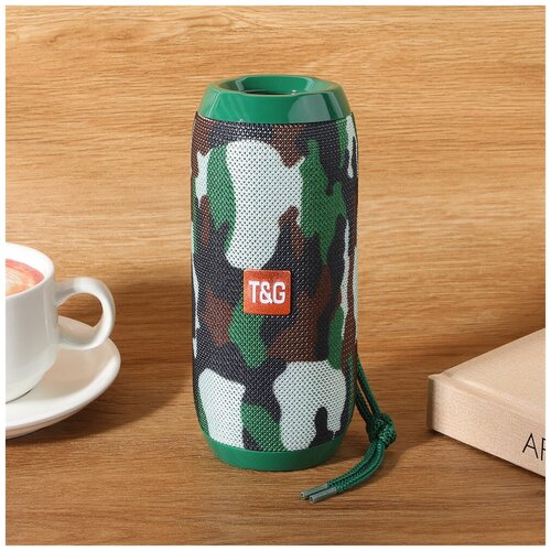 Портативная аудиосистема TG камуфляж Bluetooth microSD 35 mm jack USB стерео 139900₽