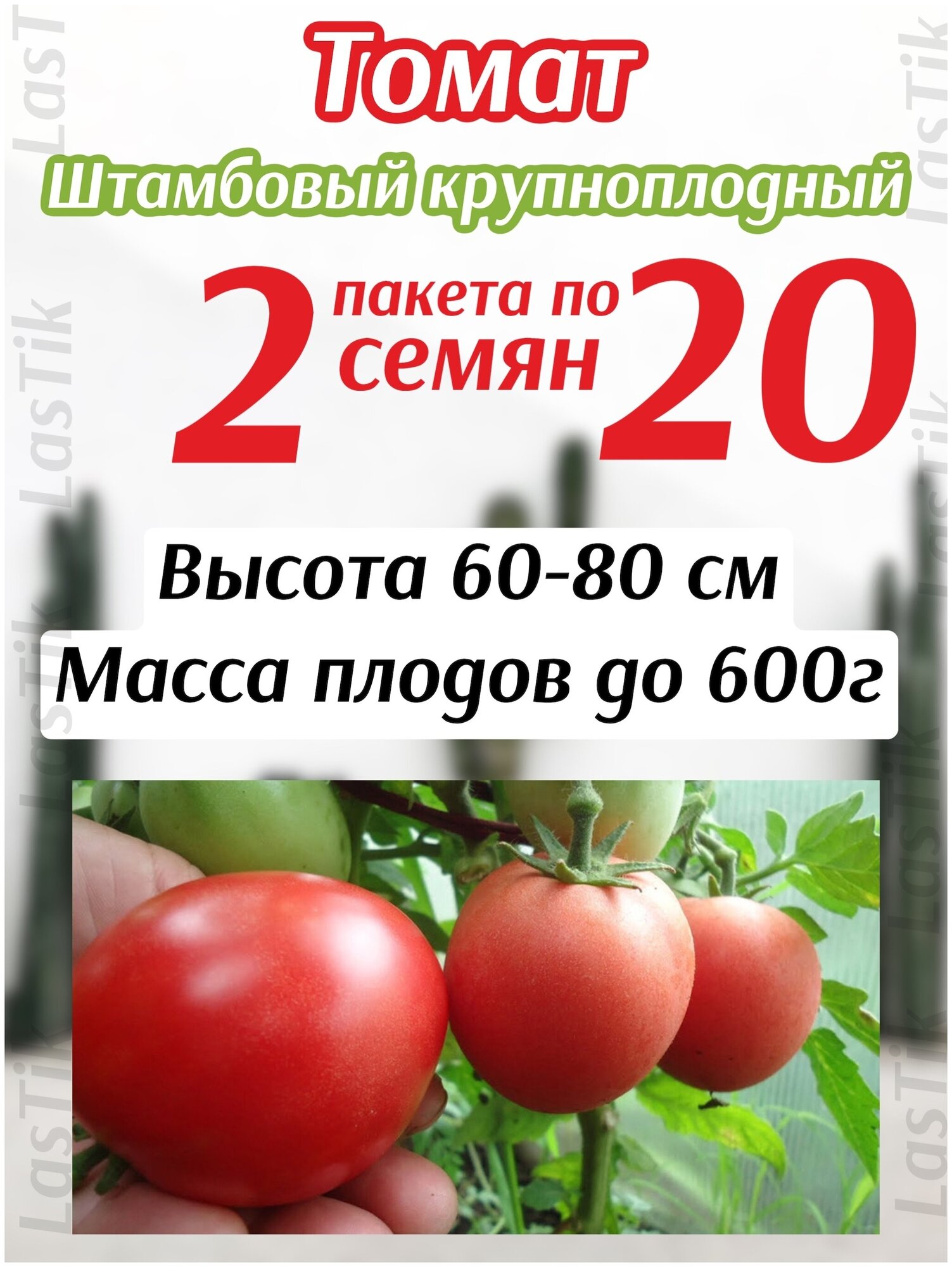 Томат Штамбовый Крупноплодный 2 пакета по 20шт семян