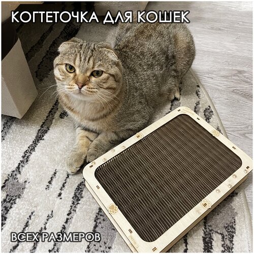 Когтеточка для кошек картонная, напольная, с кошачьей мятой