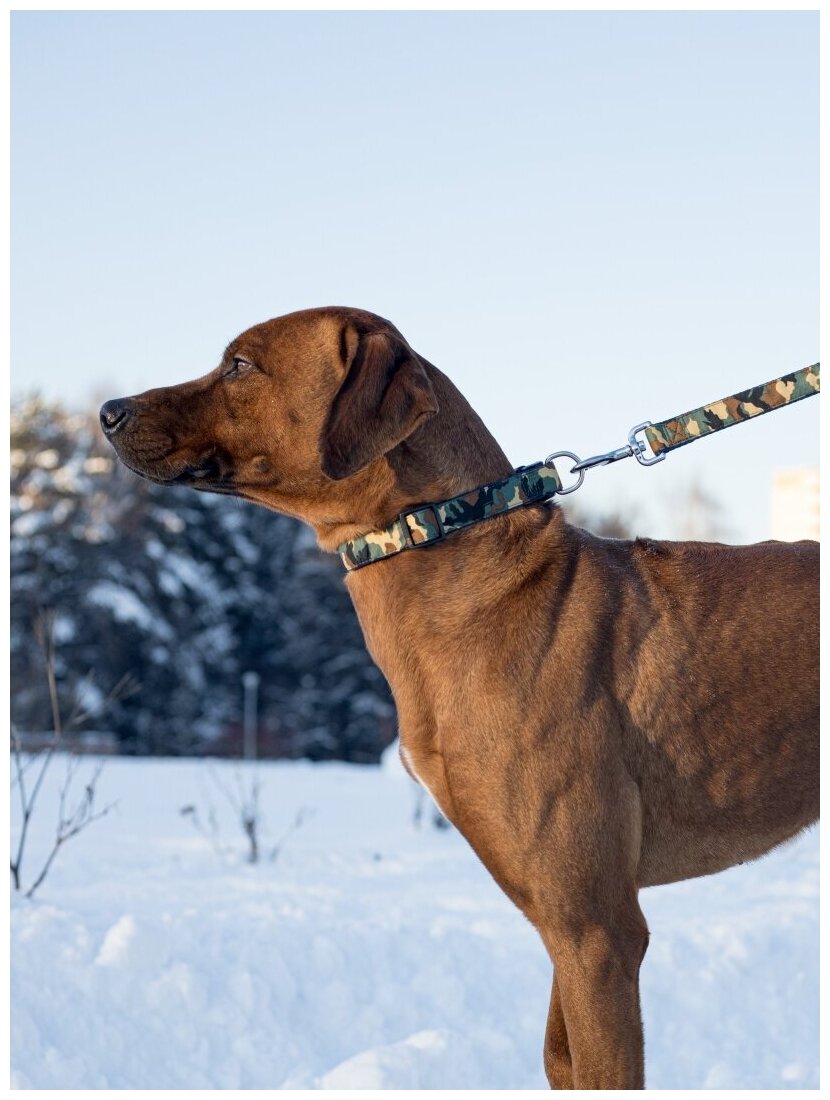 Ошейник Japan Premium Pet гибридный в стиле милитари камуфляж для собак, размер L - фотография № 9