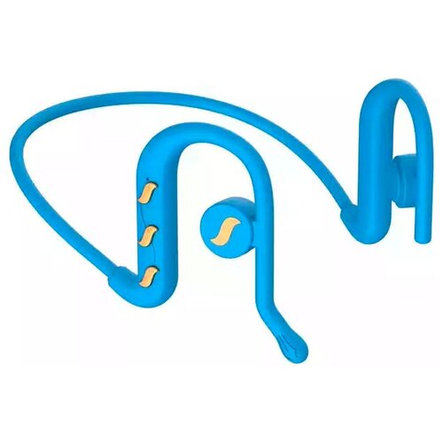 BandRate Smart BRSTWSK89BLG 175000₽