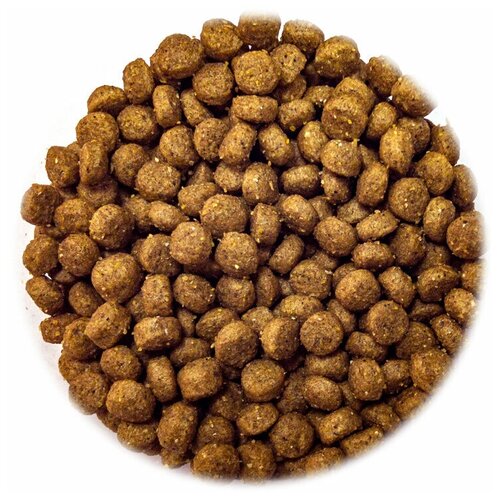 Корм для щенков всех пород Dog Club Puppy, 2,5 кг