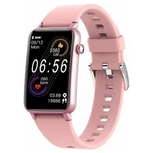 BandRate Smart BRSZX17RGP 671500₽