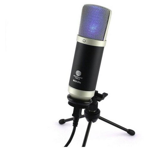 MCU-01-C Микрофон конденсаторный USB черный Октава 817000₽