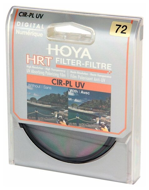 Hoya - фото №4