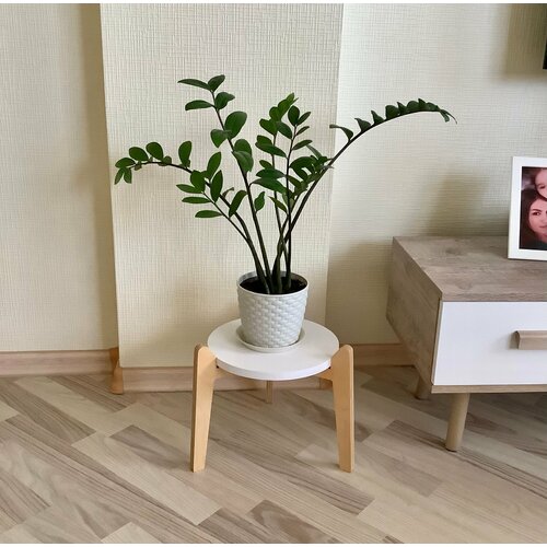 Подставка для цветов Круглая белая