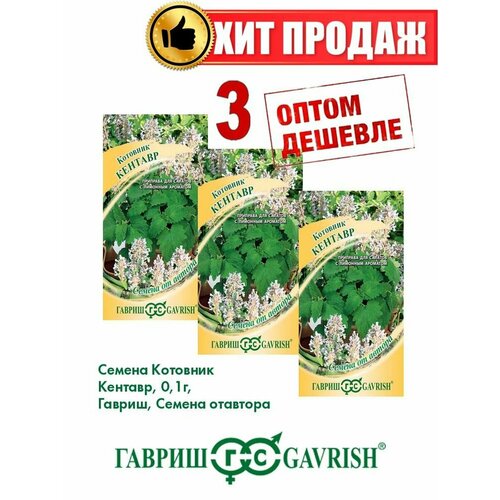 Котовник Кентавр, 0,1г, Гавриш, от автора(3уп) семена котовник кентавр 2 упаковки 2 подарка