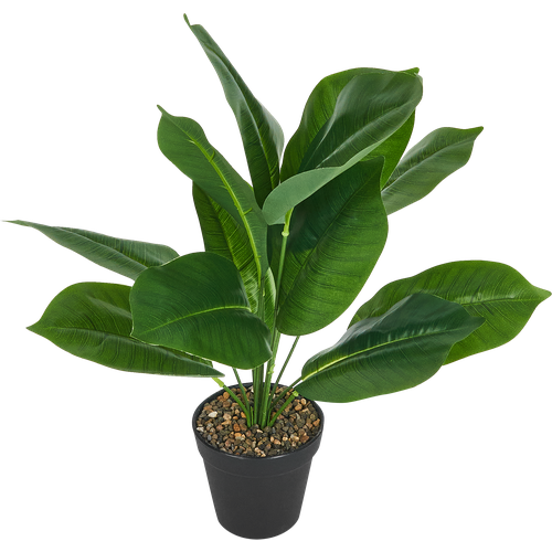 Искусственное растение Аспидистра h45 см полиэстер разноцветный 2312₽