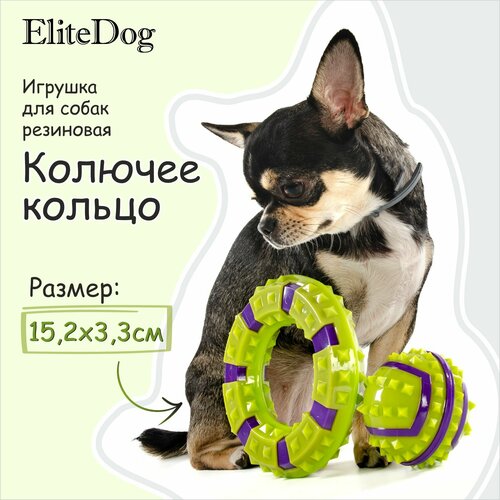Игрушка для собак резиновая EliteDog "Колючее кольцо", жёлто-фиолетовая, 15.2х15.2х3.3см