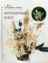 Букет сухоцветов Стабилизированные цветы Stabflora с вазой ( гипс...