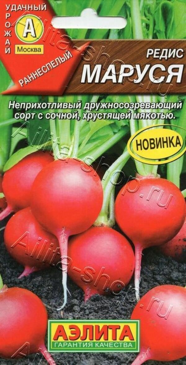 Редис Маруся