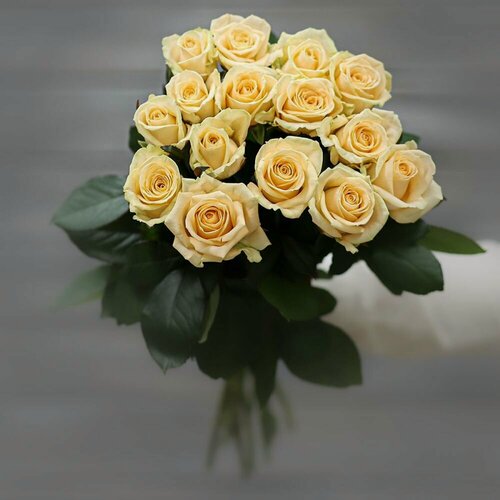 Изображение товара Букет живых цветов из 15 кремовых роз (Россия) с лентой 60 см