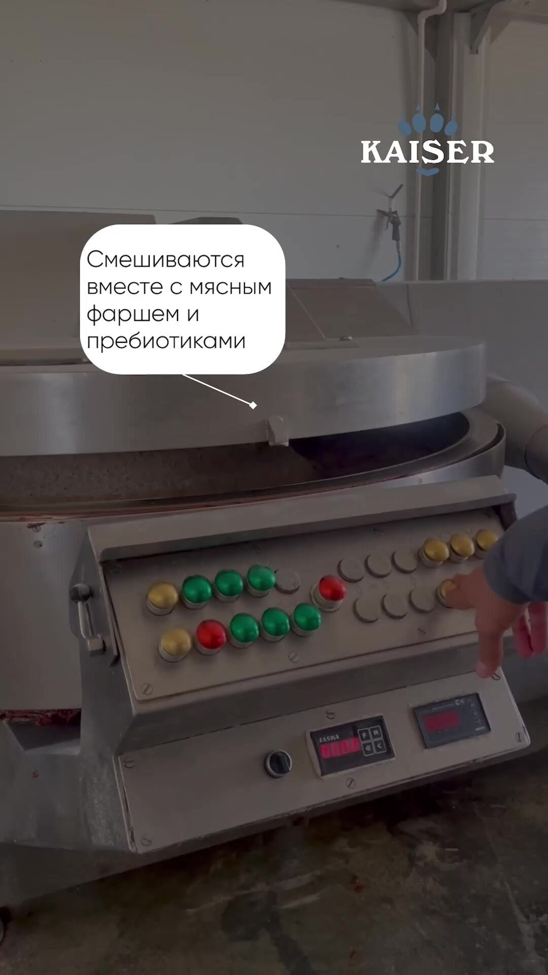 KAISER BRIDER Сухой корм для крупных собак с лососем, красота кожи и шерсти, 5кг — фото 1