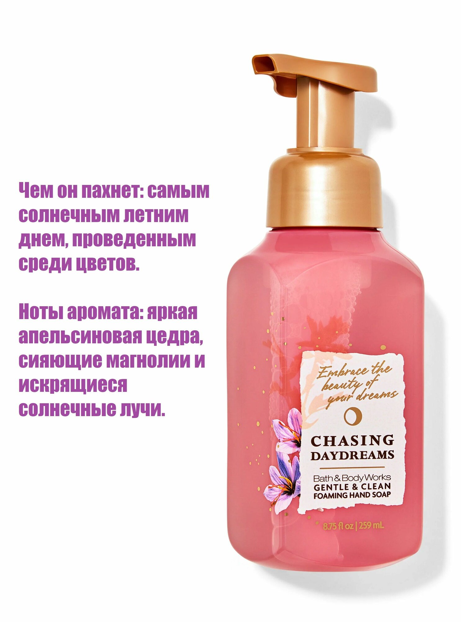 Bath and Body Works мыло пенка Chasing Daydreams (259 мл)