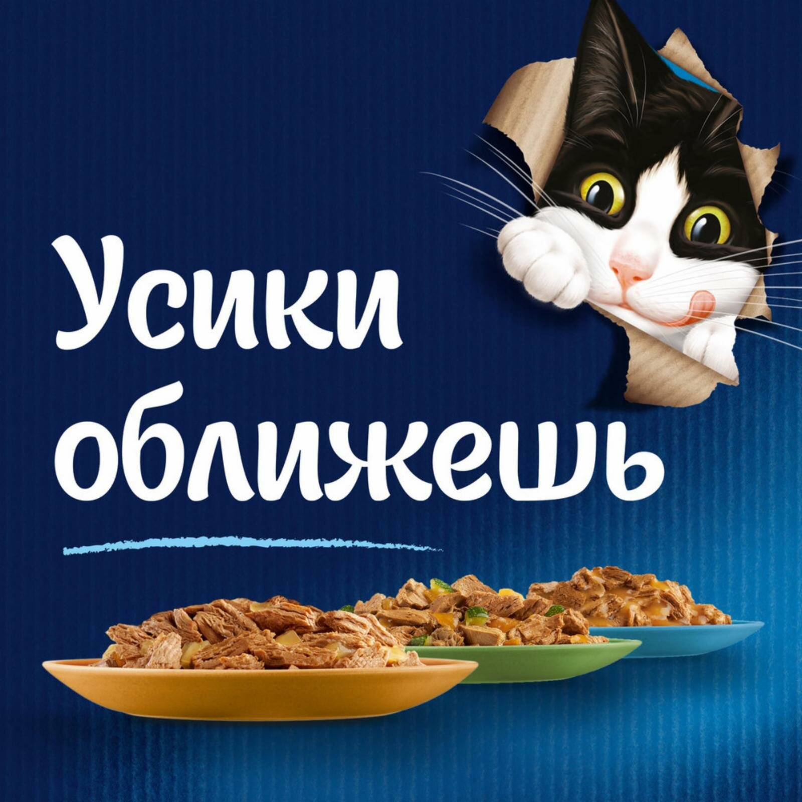 Felix Пауч для взрослых кошек, с говядиной в соусе с томатами, 75 г — фото 1