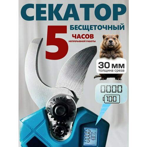 Бесщеточный секатор аккумуляторный с индикацией в кейсе Качественный садовый сучкорез. кусторез, кусачки электро ножницы голубой, голубой, белый