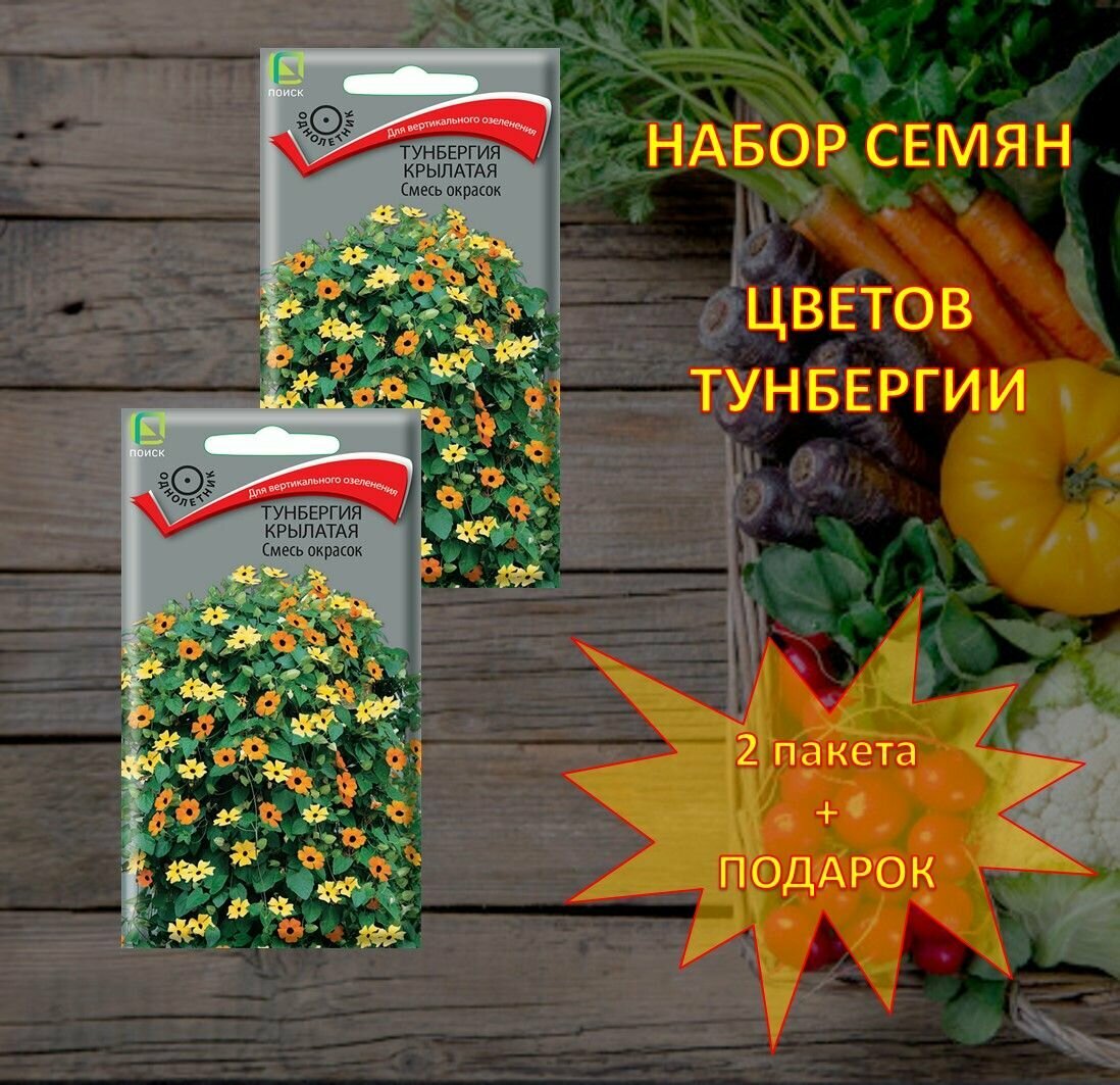 Семена цветов мирабилиса красный, желтый, белый Леденец